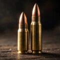 6.5 Grendel vs 6.8 SPC for Texas Hunting | Rail Armor
